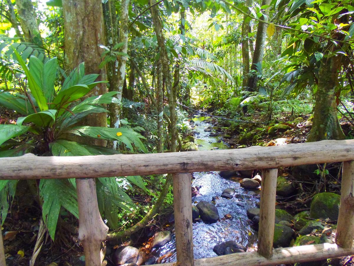 Hotel Valle Azul San Gerardo Zimmer foto