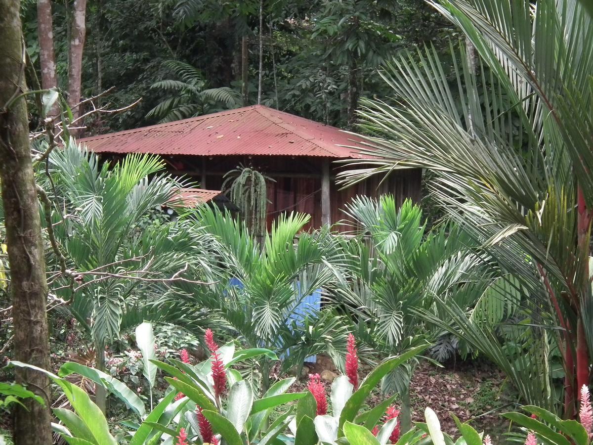 Hotel Valle Azul San Gerardo Zimmer foto